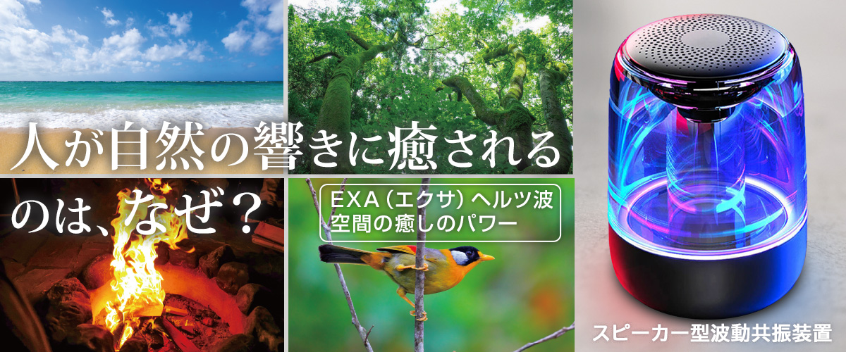 エクサレインボーゼロexa_5off10off_1200x500.jpg