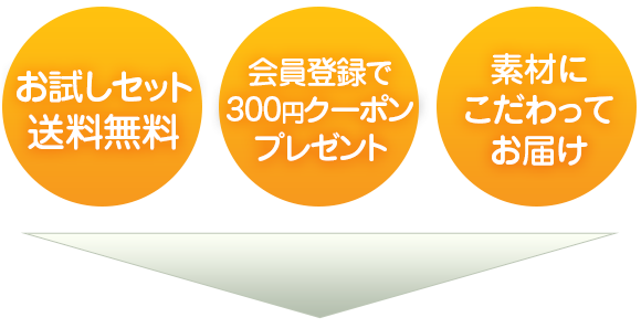 お試しセット送料無料 会員登録で300円クーポンプレゼント
