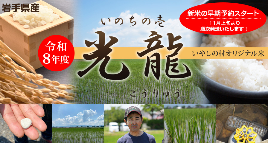 令和8年度 岩手県産いのちの壱 いやしの村オリジナル米「光龍（こうりゅう）」新米早期予約