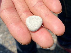田んぼに30cmほど穴を掘って珪藻土という粘土を埋めると、微生物が爆発的に増えて、ソマチッドが活性化します。