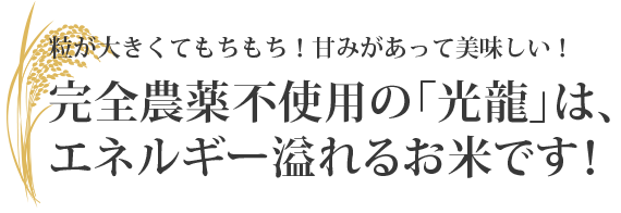 粒が大きくてもちもち！甘味があって美味しい！完全農薬不使用の「光龍」は、エネルギー溢れるお米です！