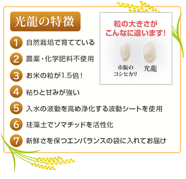光龍の特徴
