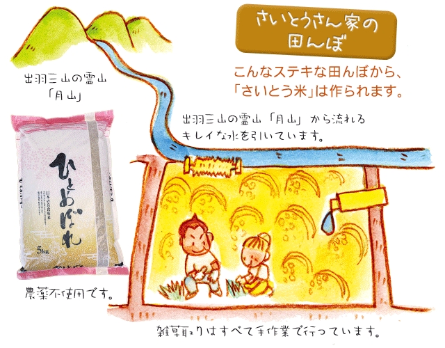 さいとうさん家の田んぼ