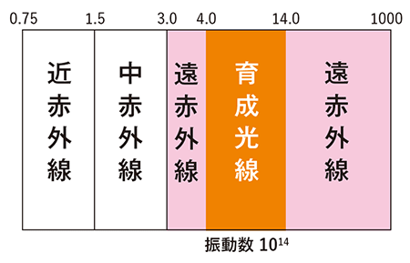 P-UP超美振動とは