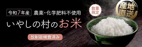 交換用電極カートリッジ【ゴッドクリーナー・ゴールド用】【送料無料