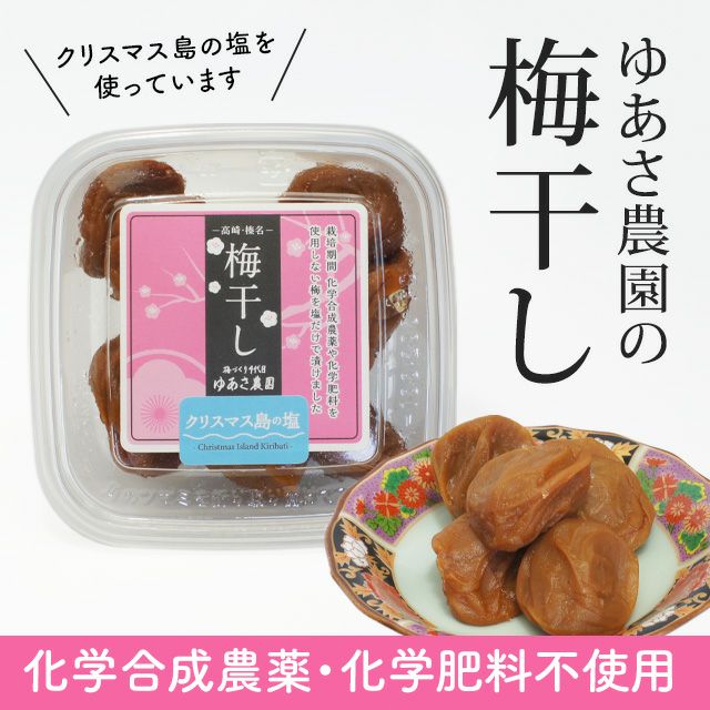 梅干し・梅肉エキス | いやしの村わくわくショップ